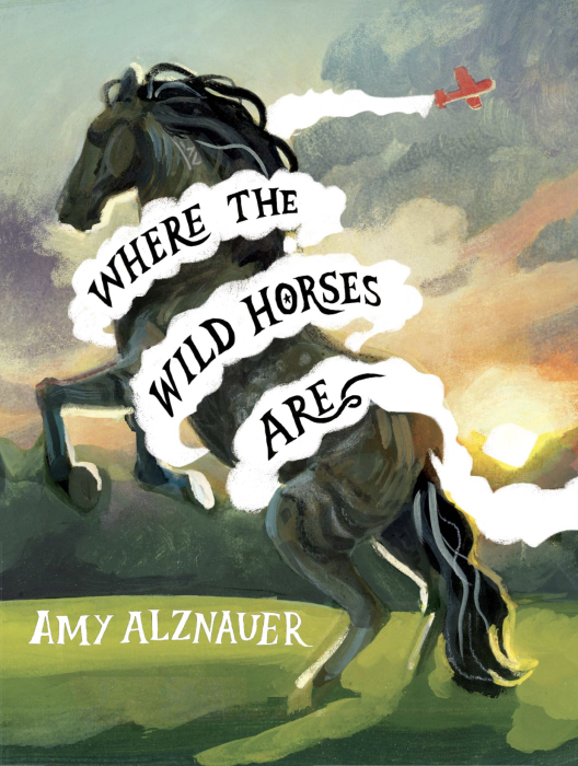Amy Alznauer